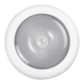 Rabalux - LED nattlampa med sensor LED/0,5W/3xAAA 4000K