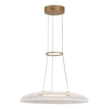 Rabalux - LED-pendel med vajer LED/24W/230V 3000K