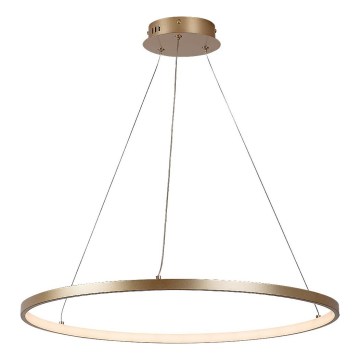 Rabalux - LED-pendel på vajer LED/55W/230V 3000K