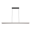 Rabalux - LED-pendellampa med kabel LED/40W/230V 3000K