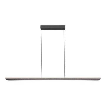 Rabalux - LED-pendellampa med kabel LED/40W/230V 3000K