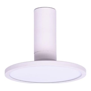Rabalux - LED-taklampa 20W/230V 3000K vit Ø 20 cm
