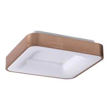 Rabalux - LED taklampa CARMELA LED/30W/230V 40x40 cm