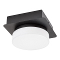 Rabalux - LED taklampa för badrum LED/5W/230V IP44 4000K svart