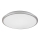 Rabalux - LED Taklampa LED/18W/230V 4000K silver 27 cm