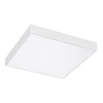 Rabalux - LED taklampa LED/24W/230V 2800-6000K IP44 vit 30x30 cm