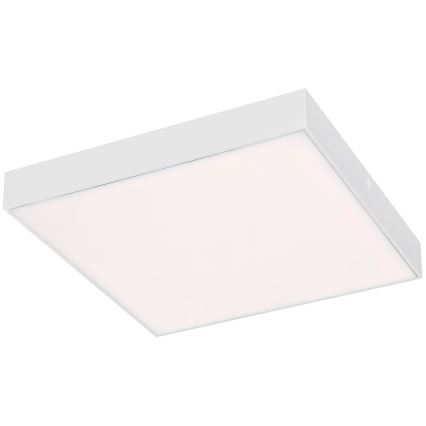 Rabalux - LED taklampa LED/24W/230V 2800-6000K IP44 vit 30x30 cm