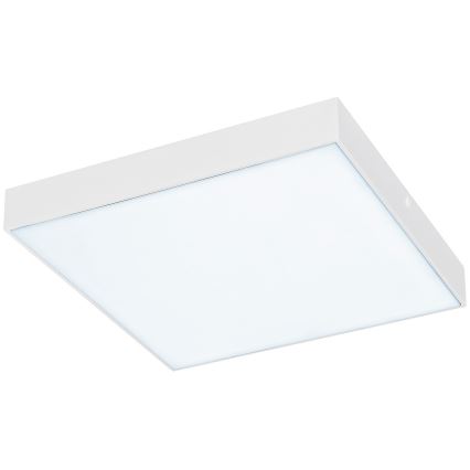 Rabalux - LED taklampa LED/24W/230V 2800-6000K IP44 vit 30x30 cm