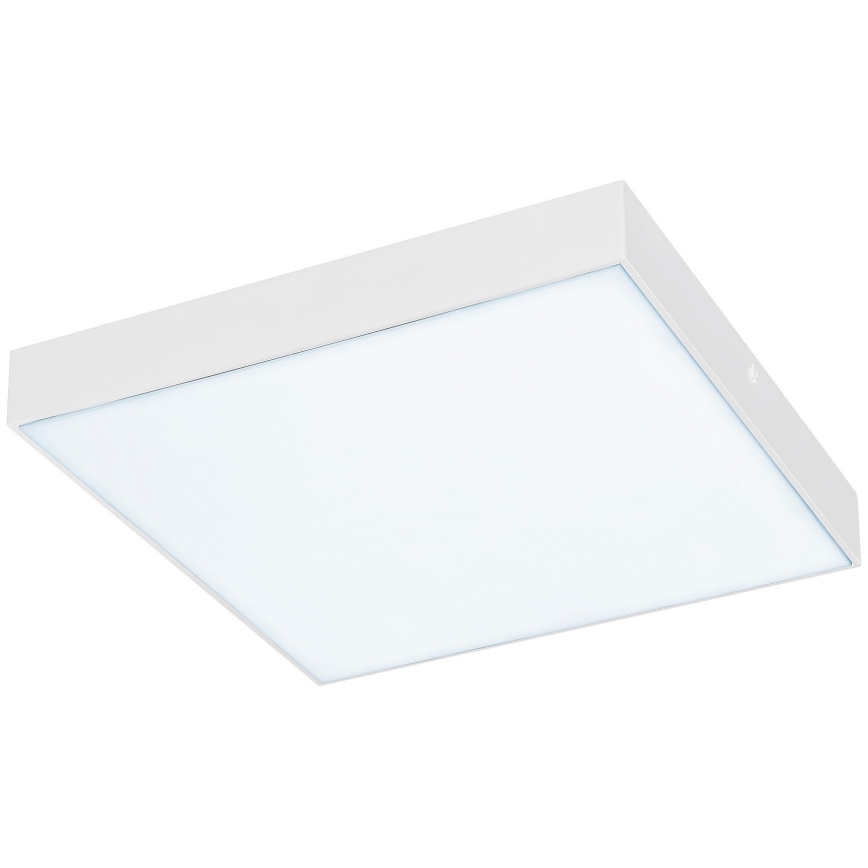 Rabalux - LED taklampa LED/24W/230V 2800-6000K IP44 vit 30x30 cm