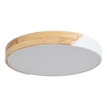 Rabalux - LED taklampa LED/24W/230V vit/ek