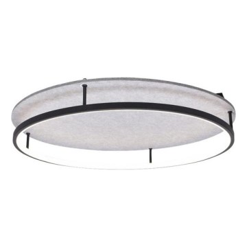 Rabalux - LED taklampa LED/40W/230V 3000/4000K Ø 57,5 cm