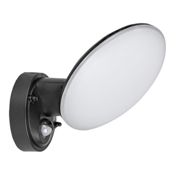 Rabalux - LED Utomhus Vägglampa med Sensor LED/12W/230V IP54