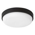 Rabalux - LED-utomhustaklampa LED/14W/230V IP54 svart