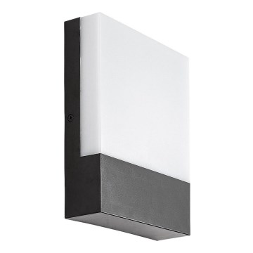 Rabalux - LED vägglampa för utomhusbruk LED/10W/230V IP44 svart