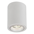 Rabalux - Spotlight 1xGU10/25W/230V rund vit