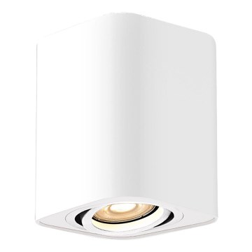 Rabalux - Spotlight 1xGU10/42W/230V vit