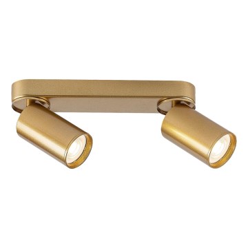 Rabalux - Spotlight 2xGU10/5W/230V guld