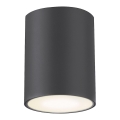 Rabalux - Utomhus spotlight  1xGU10/35W/230V rund  IP54