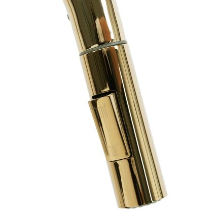 REA-B0669 - Köksblandare med utdragbar handdusch FRESH 39,5 cm guld