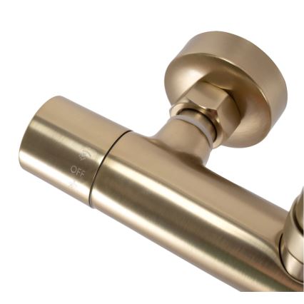 REA-P2323 - Duschset med termostatblandare PAROT i borstad guld