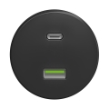Reblig - Retro ramlöst USB-uttag A+C, antracit