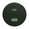 Reblig - Retro USB-uttag A+C, ramfritt, grönt
