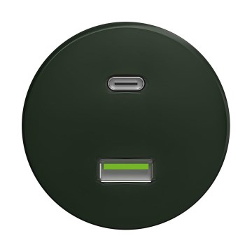 Reblig - Retro USB-uttag A+C, ramfritt, grönt