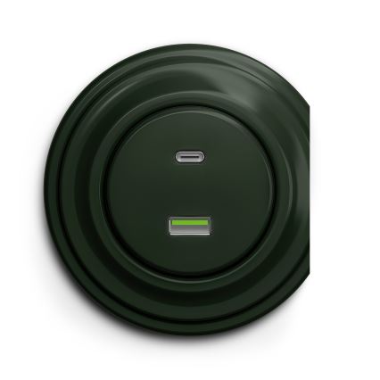 Reblig - Retro USB-uttag A+C, ramfritt, grönt