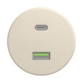 Reblig - Retro USB-uttag A+C utan ram, beige