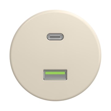 Reblig - Retro USB-uttag A+C utan ram, beige