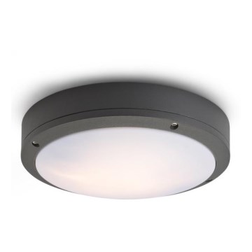 RED - Design Rendl - R10382 - Utomhus taklampa  SONNY 2xE27/18W/230V IP54