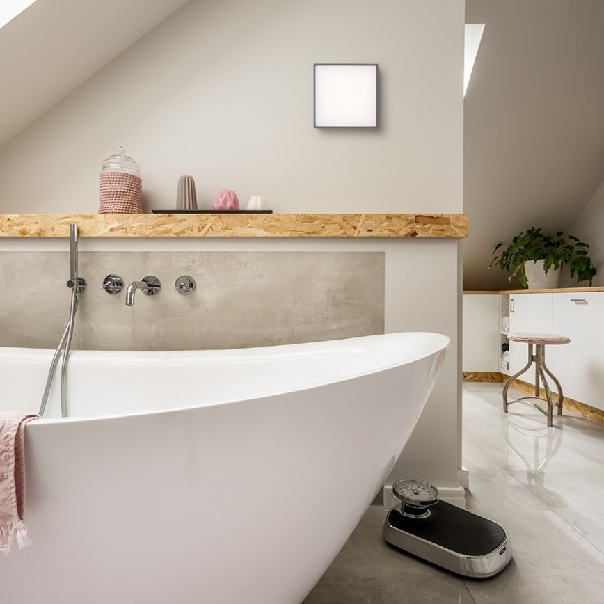 RED - Design Rendl - R11967 - Utomhus LED taklampa  BONO LED/4W/230V IP54