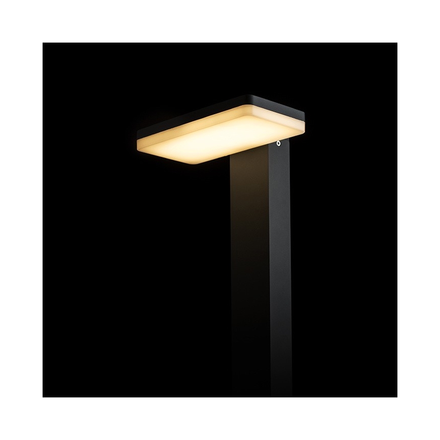 RED - Design Rendl - R12515 - Utomhus LED lampa  RINA LED/12W/230V IP44