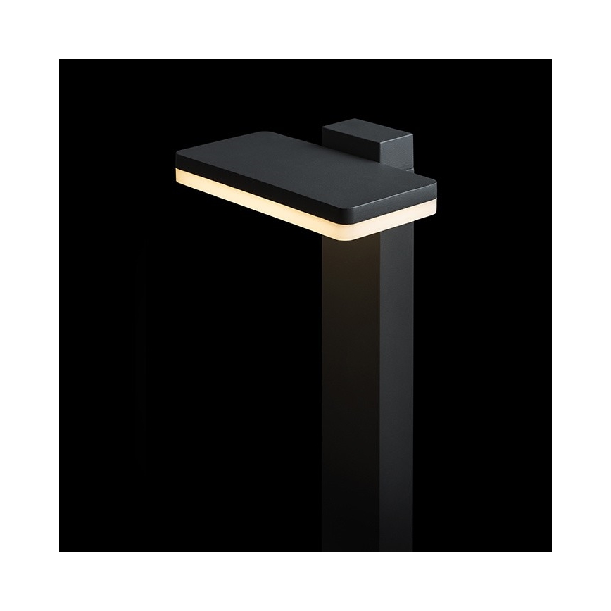 RED - Design Rendl - R12515 - Utomhus LED lampa  RINA LED/12W/230V IP44