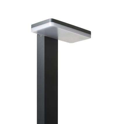 RED - Design Rendl - R12515 - Utomhus LED lampa  RINA LED/12W/230V IP44