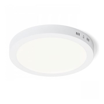 RED - Design Rendl - R12973 - LED taklampa SOCORRO LED/24W/230V