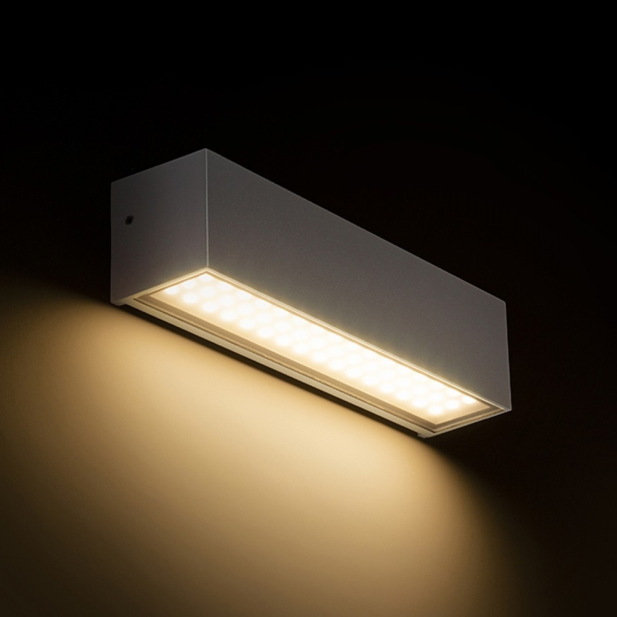 RED - Design Rendl - R13527 - Utomhus LED vägglampa  CAMARGUE LED/6W/230V IP65