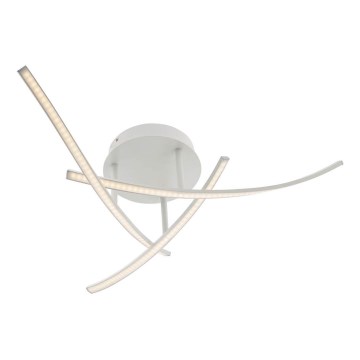 Redo 01-2184 - LED taklampa SPATHA 3xLED/6W/230V 3000K vit