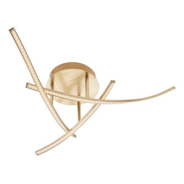 Redo 01-2185 - LED taklampa SPATHA 3xLED/6W/230V 3000K guld