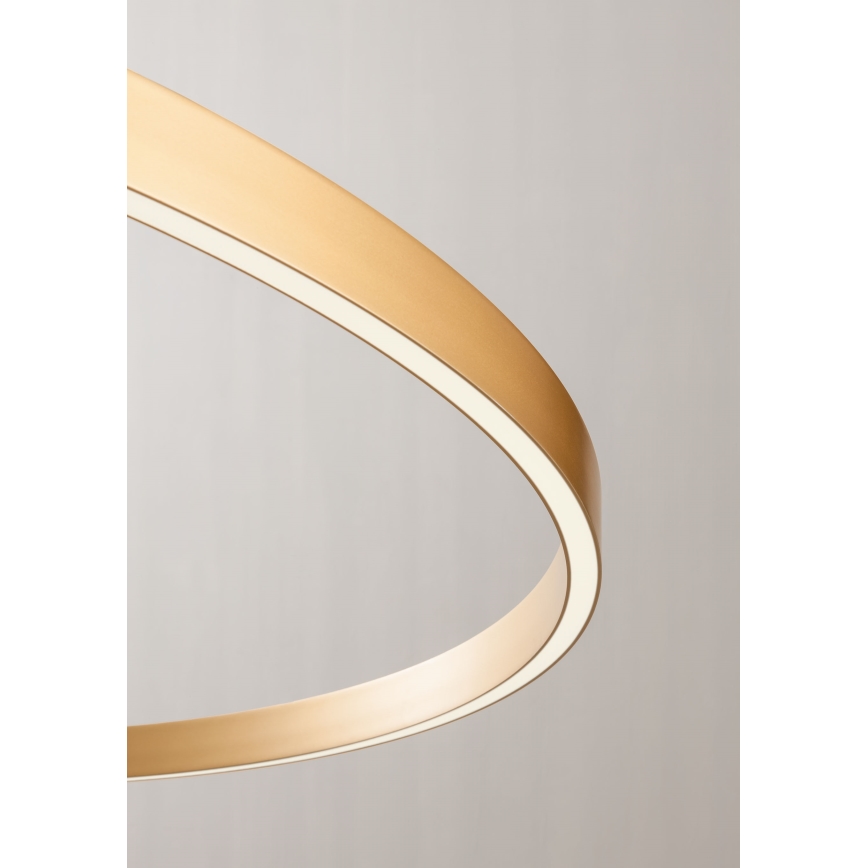 Redo 01-2835 - LED ljusreglerad vägglampa FEBE LED/24W/230V guld