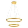 Redo 01-2889 - Dimbar LED-taklampa på vajer FEBE LED/62W/230V guld