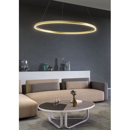 Redo 01-2889 - Dimbar LED-taklampa på vajer FEBE LED/62W/230V guld