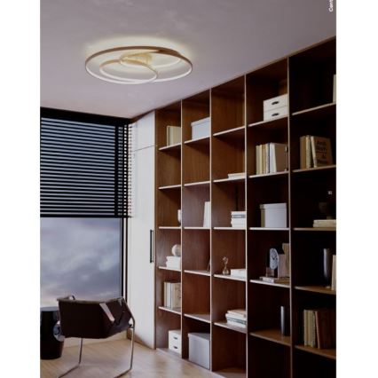 Redo 01-2973 - LED taklampa CENTRIX LED/92W/230V brons