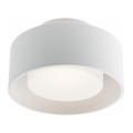 Redo 01-3096 - LED taklampa PUNKT LED/6W/230V vit