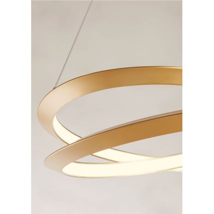 Redo 01-3377 - Dimbar LED-pendel på vajer STORM LED/60W/230V 3000/4000/6000K CRI 90 Ø 80 cm guldfärgad