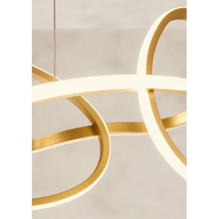 Redo 01-3389 - Dimbar LED-pendel på vajer i guldfinish, BIAS LED/90W/230V 3000/4500/6500K CRI 90