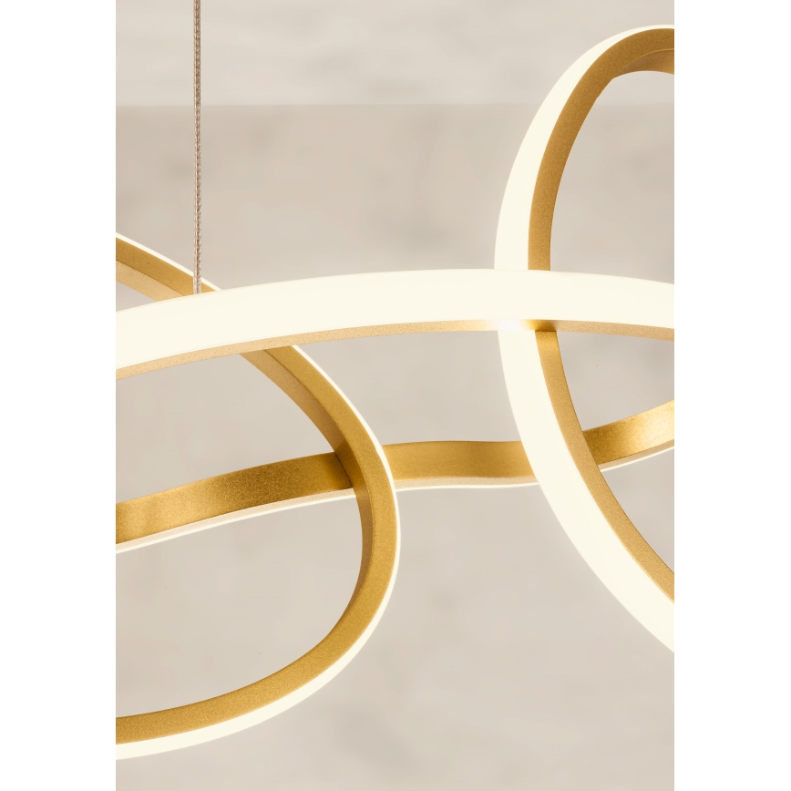 Redo 01-3389 - Dimbar LED-pendel på vajer i guldfinish, BIAS LED/90W/230V 3000/4500/6500K CRI 90