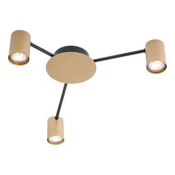 Redo 01-4049 - Spotlight NOA 3xGU10/10W/230V guld