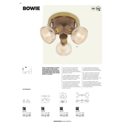 redo 04-476 - Spotlight BOWIE 2xE14/28W/230V