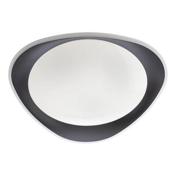 Redo 05-922 - LED taklampa VERENA LED/24W/230V antracit